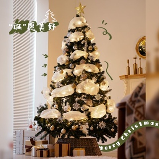 耶誕樹ins風家用套餐diy發光2023款耶誕節裝飾品禮物擺件場景佈置