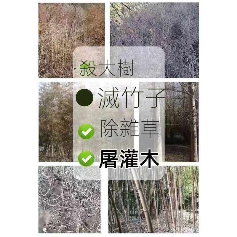 👍 農用大樹小樹快速強效無色無味易操作樹枝塗抹除雜草 除竹子 除大樹 森林防火道 除灌木 除草劑 爛根除草劑