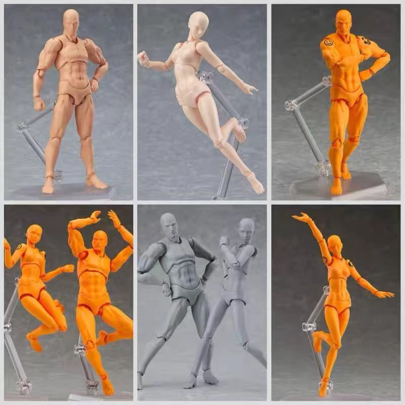 新品爆款❥figma素體美術人體模型玩具男女人偶關節可動繪畫參考工具shf擺件