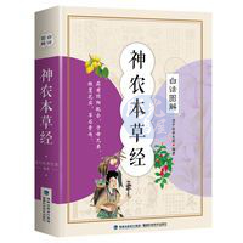 【陽光書屋】神農本草經白話圖解中醫大全中醫四大名著中藥學書大全中草藥圖譜