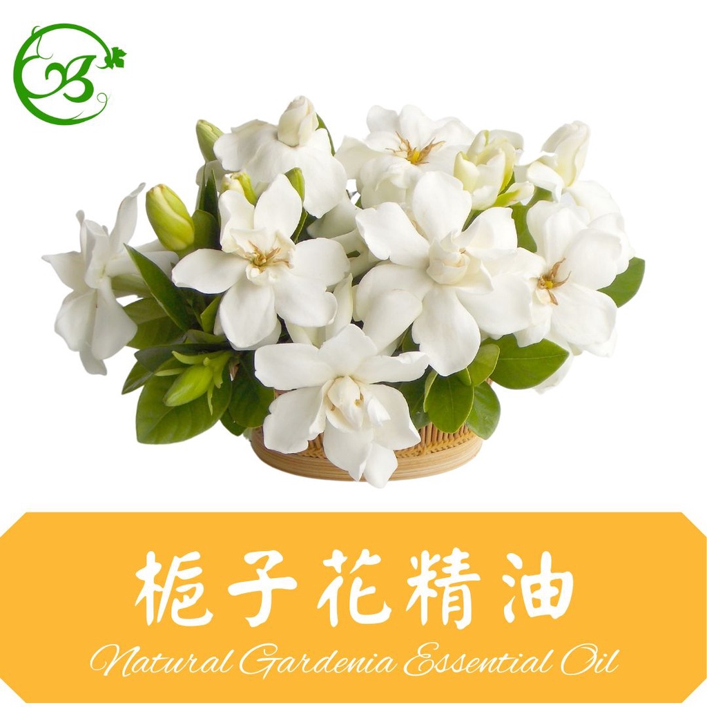 梔子花精油 頂級單方精油 天然精油 正草本提煉油 Gardenia Essential Oil 天然植物油 梔子花精華油