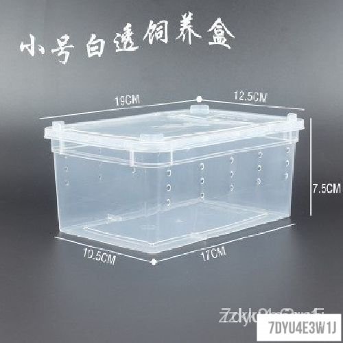 🔥蚯蚓養殖箱 專用箱透氣養殖箱高透明養蚯蚓塑料麵包蟲活餌紅蟲保濕用飼養盒子
