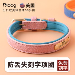 ✨萌寵出道✨客製化狗項圈 金毛大型犬泰迪法鬥 小型犬中型犬栓狗脖圈 免費刻字 防丟狗牌客製化 頸圈 牽引繩 寵物用品