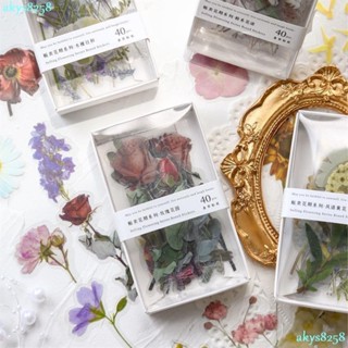 臺灣出貨【手賬素材】販賣花期pet防水手帳貼紙ins風植物玫瑰手賬裝飾素材透明小貼畫HAN