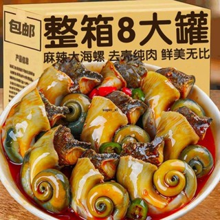 免運 麻辣大海螺肉即食香辣海鮮熟食貓眼翡翠螺罐裝蝦尾鮑魚海鮮下飯菜8