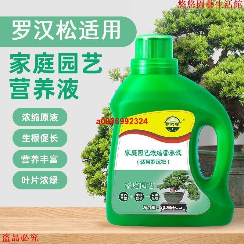 🚛【免運】羅漢松營養液500ml 土杉、羅漢杉液體肥料促生根營養素