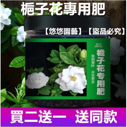 🚛【免運】2送1 梔子花專用肥料綠植花卉盆栽通用花肥營養液復合肥顆粒緩釋有機肥 肥料 花肥 有機肥 園藝