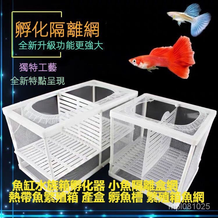 精品免運🔥魚缸水族箱孵化器 魚缸隔離網 魚缸水族箱孵化器 小魚隔離盒網 熱帶魚繁殖箱 產盒 孵魚槽 繁殖箱魚網 MJ8N