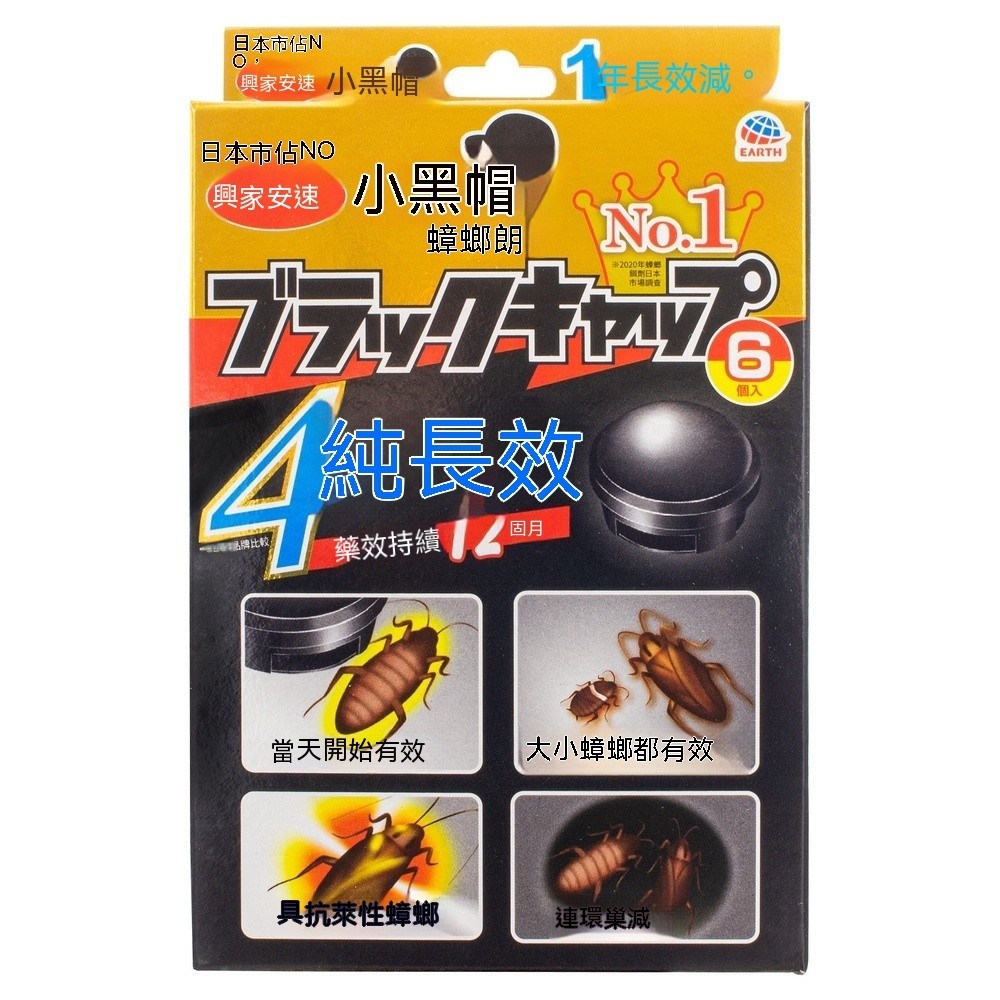 🔥現貨熱銷 興家安速 日本蟑螂盒 蟑螂屋 6入 小黑帽 蟑螂餌劑 強效型 一點絕 174T 滅蟑餌 蟑螂 Earth