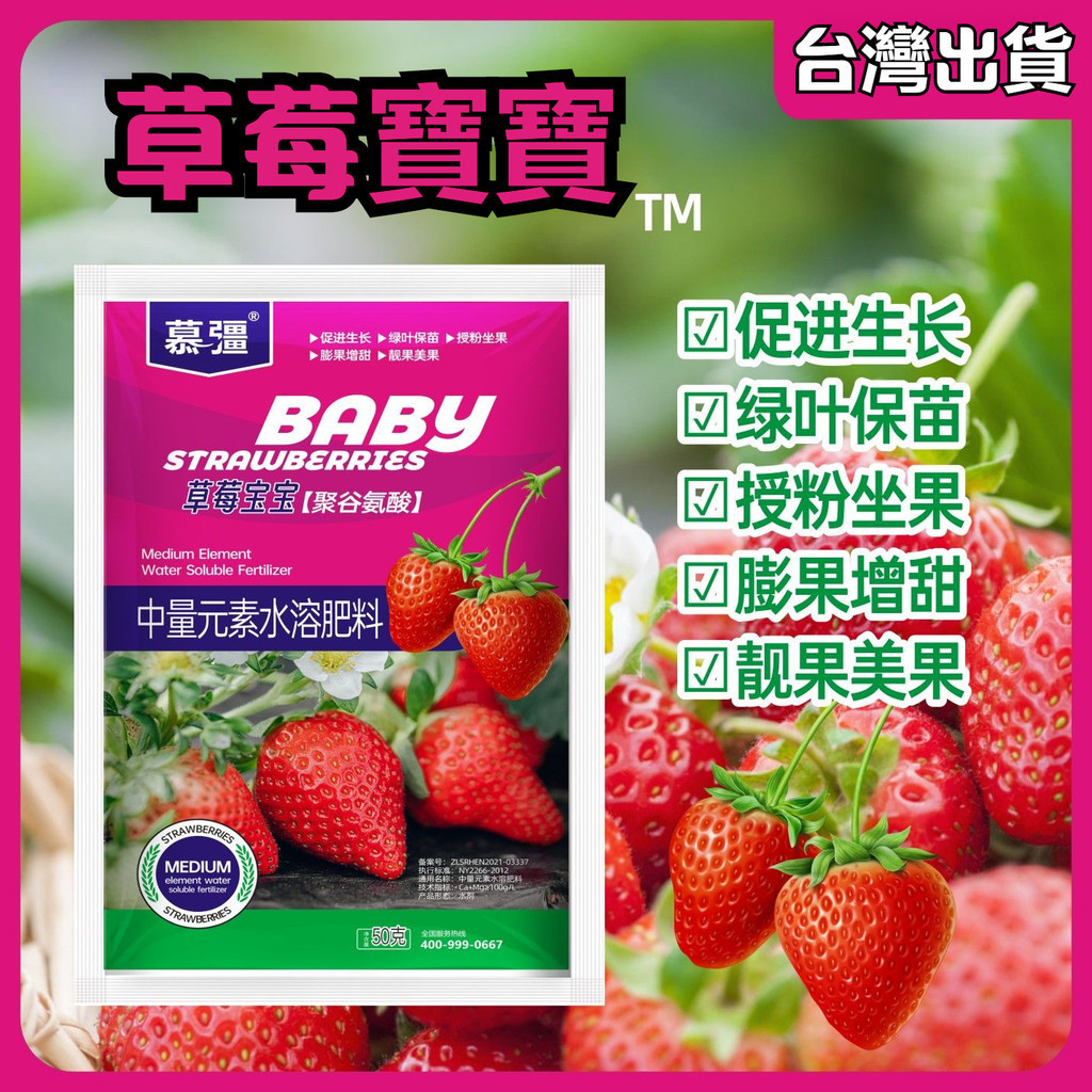 【臺灣出貨】草莓寶寶促進作物生長保苗綠葉靚果美果中量元素水溶肥料