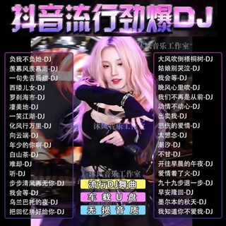臺灣出貨 ✨2024最新歌曲DJ舞曲U盤熱門網絡流行中文DJ榜單無損音樂車載MP3/4