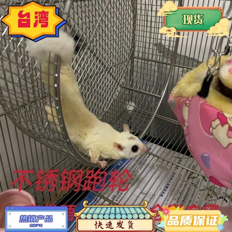 台灣熱銷 不鏽鋼蜜袋鼯跑輪松鼠跑輪倉鼠跑輪鸚鵡跑輪刺蝟跑輪寵物玩具