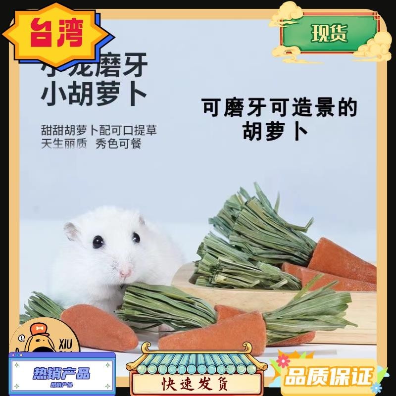 台灣熱銷 迷你胡蘿蔔玩具 倉鼠磨牙 田園造景 可愛胡蘿蔔造型玩具 黃金鼠 兔子 天竺鼠 龍貓