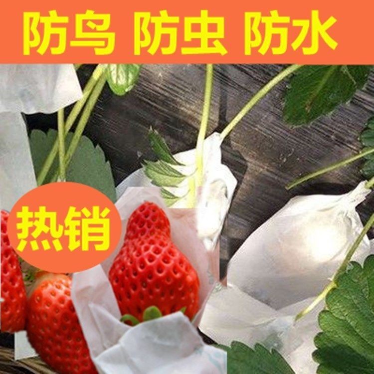 臺灣熱銷⭐草莓專用套袋櫻桃柿子套袋育果袋冬棗果袋防水防蟲病害無花果套袋