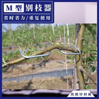 🔥臺灣熱賣好物🔥臺灣出貨 園林工具 果樹拉枝神器 定型器 壓枝器 多功能傢用盆景固定器 通用別枝器
