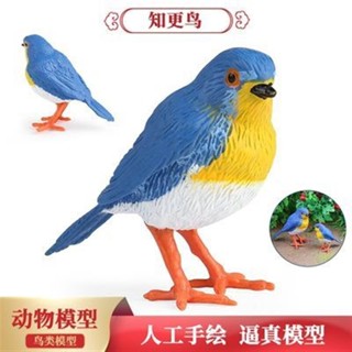 ✨熱賣新品✨實心模擬飛禽鳥類小鳥玩具動物模型知更鳥小蜂鳥鴿子兒童認知禮物