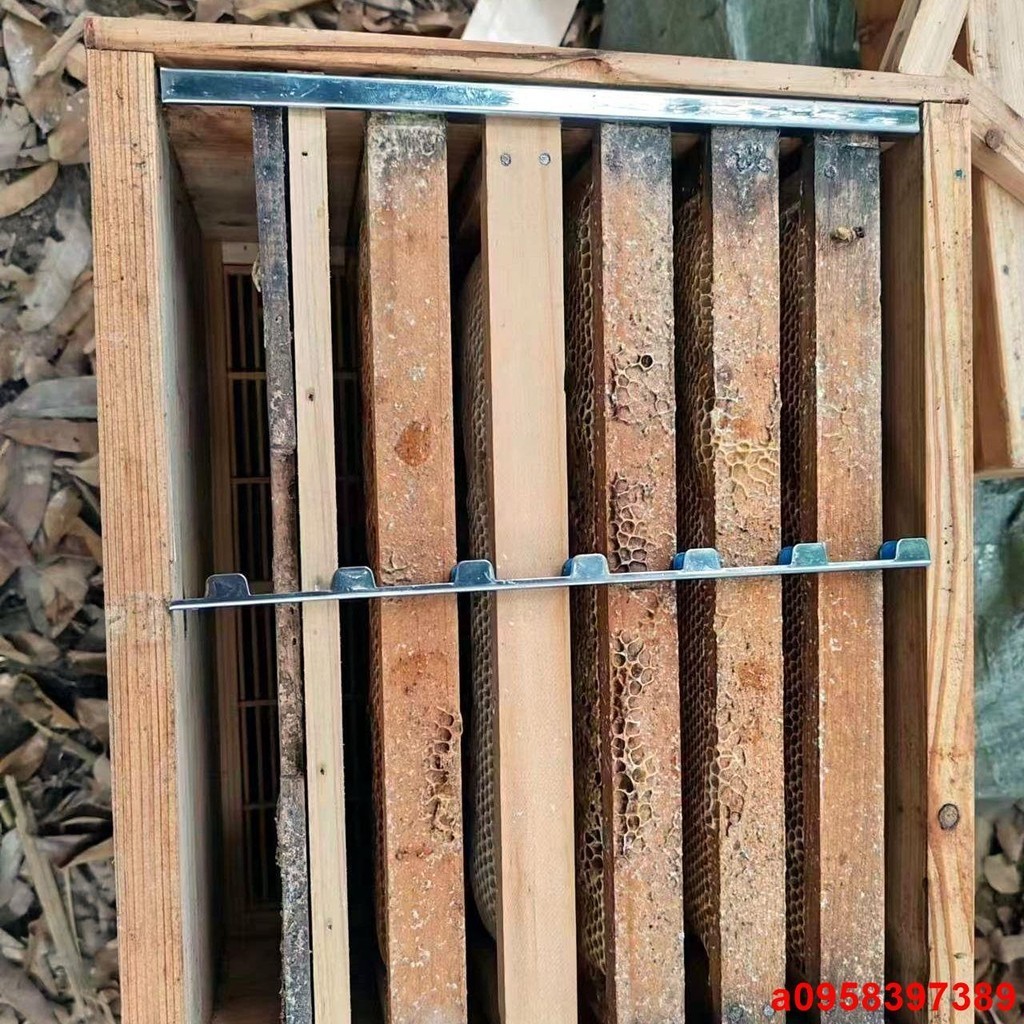 熱賣%蜂箱巢框多用壓條新款不銹鋼養蜂工具巢脾固定器繼箱平箱專用卡條