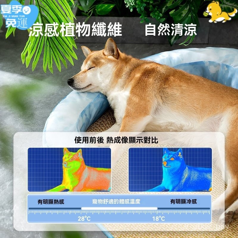 🐶寵物涼墊🐱狗狗涼席 夏季狗墊 狗狗冰墊 寵物冰墊 寵物涼墊 寵物涼感墊 寵物用品 貓睡墊春夏季狗狗護頸涼席狗窩中大型犬