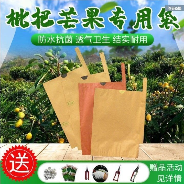 水果套袋 枇杷套袋專用袋枇杷袋子芒果套袋專用袋芒果袋子蓮霧水果套袋防蟲