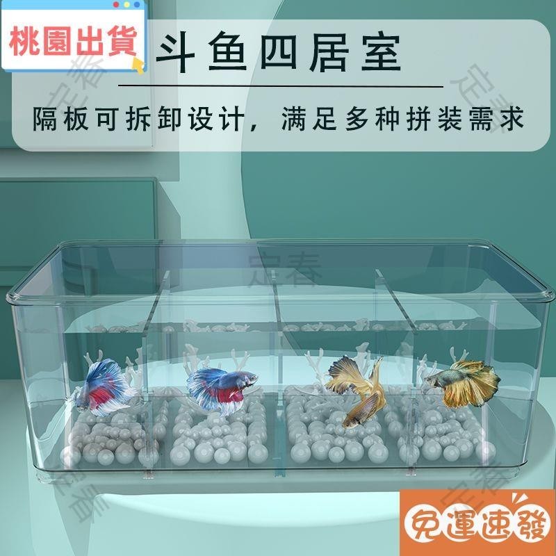 公司貨🔥小魚缸鬥魚專用缸桌上型魚缸透明魚缸 小型魚缸透明小型鬥魚缸多格網紅桌面魚缸鬥魚孔雀魚繁殖缸小型生態桌面缸