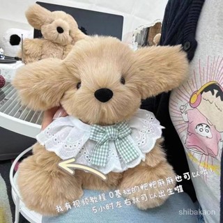 【臺灣出貨】抖音衕款手工diy材料包自製創意狗狗玩偶可愛毛絨公仔送女友禮物