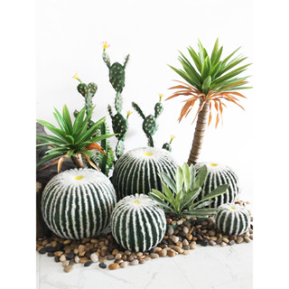 ▼JVW大型仿真植物仙人球盆栽熱帶沙漠綠植景觀造景民宿室內外裝飾擺件