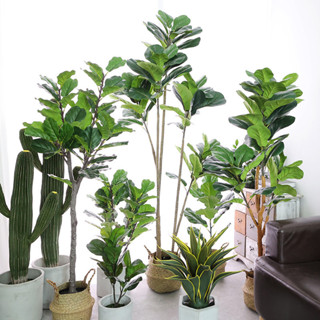 ▼JVW模擬綠植大葉琴葉榕盆栽客廳落地大型假網紅植物室內造景裝飾盆景