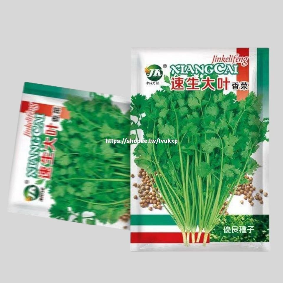 🔥（速生大業香菜種子）A03 香菜種子 一袋10g約900粒 蔬菜種子 原廠包裝 對版出貨 發芽率高95%