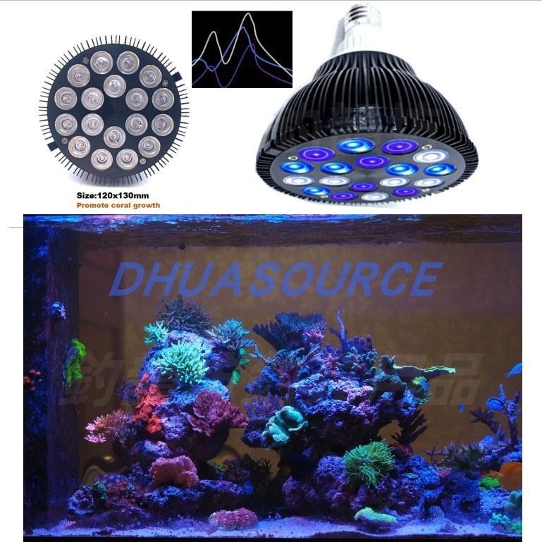 【台灣熱銷】訂製LED珊瑚燈 海缸燈 水族藻缸海水燈 SPS LPS補光fot燈 Reef Lamp A51