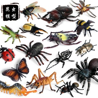 ✨甄選新品✨模擬實心昆蟲模型動物玩具 沙盤場景模型擺件 兒童科教認知動物世界模型玩具 蒙特梭利教具→廠家h6🎇x6