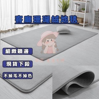 （臺灣出貨）升級加厚ins風珊瑚絨地毯 純色地毯 床邊地墊 絨毛地墊 防滑地墊 床邊地毯 地毯地墊 簡約風地毯 客廳地毯