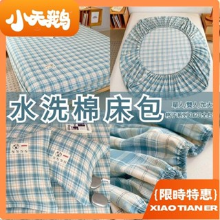 【小天鵝】🔥新款🔥格子床包 熱銷 高品質水洗棉單床包 枕頭套 床墊保護套 床單 簡約風 單人/雙人/雙人加大 360