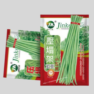 壓塌架豇豆🔥A82 豆角種子 壓塌架豇豆種子 一袋5g約30粒 蔬菜種子 原廠包裝 對版出貨 發芽率高95%