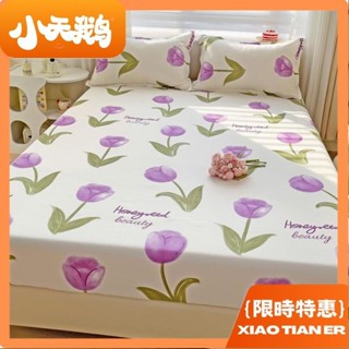 【小天鵝】舒柔棉床包 床墊保護套 枕頭套 吸溼排汗 親膚透氣可裸睡 可水洗機洗 單人床包雙人加大