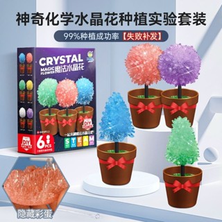 🔥臺灣下殺🔥魔法水晶花生長種植科學小實驗套裝DIY手工製作材料兒童玩具禮物