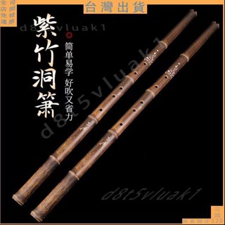 下殺折扣💯臺灣出貨🚚蕭樂器 專業初學入門 紫竹簫初學G調F入門六八孔一二三節簫古風蕭樂器