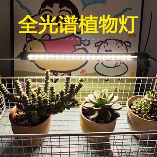 🔆臺灣出貨🔆LED全光譜植物燈 植物生長燈 植物日照燈 多肉燈 夾燈 燈管 盆栽燈 紅藍燈 生長燈 水草燈 仿太陽燈