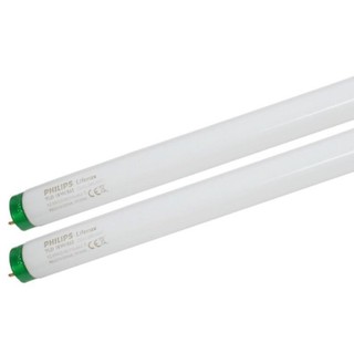 PHILIPS 飛利浦 T8 TLD 18W 58cm 830 865 燈管
