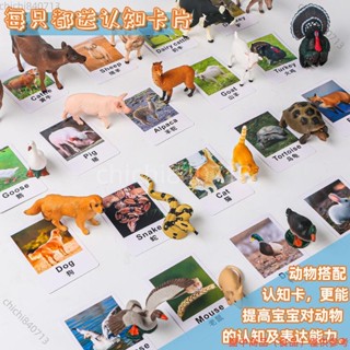 ✨臺灣廠商下殺✨模擬動物農場牧場家禽模型雞鴨鵝牛羊貓狗豬馬寶寶認知益智玩具lldd818