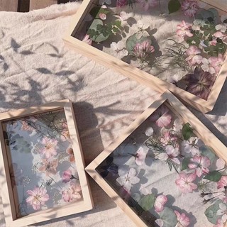 【優選良品】創意DIY永生花乾花透明相框現代裝飾畫綠植花卉標本框 高透玻璃相框裝飾擺件木質雙面玻璃擺臺
