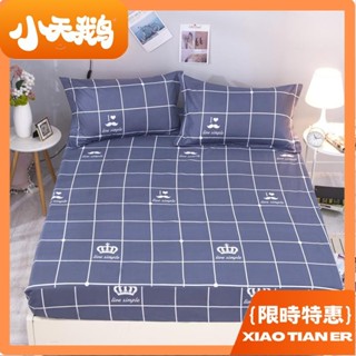 【小天鵝】3M防水保潔墊 防蟎床包 防水枕套 防水床包 100%防水保潔墊床包式 3M吸濕排汗技術處理 單人/雙人/