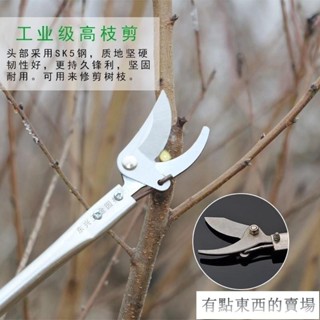 多功能高枝剪 加長版修枝剪 加長不銹鋼 加長桿剪刀園林疏花稀果DX1