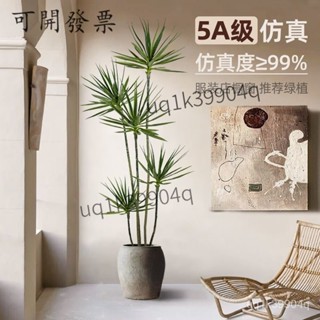 【無需打理 免運】輕奢模擬綠植假植物仿真花韆年木室內盆栽龍血樹客廳裝飾擺件落地 SCQV