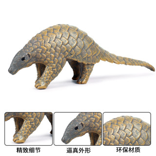 🥂六一禮物🥂兒童實心模擬動物玩具動物模型穿山甲 石鯪魚 鯪鯉 認知禮品擺件