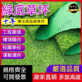 嚴選 超模擬人工草坪地毯 人造草皮 假草皮 人工草皮 人工草皮 春草 秋草 夏草 特密超模擬草坪 草皮地墊 草皮地毯 3