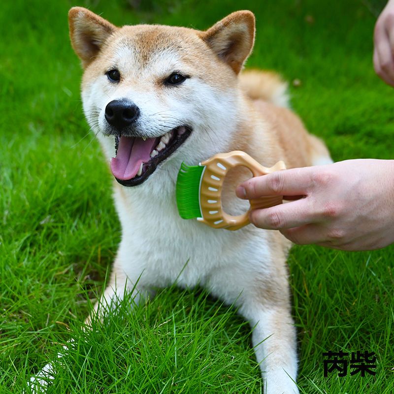 柴犬貝殼梳 寵物貓咪狗狗泰迪柯基換毛期開結去浮毛按摩狗梳子