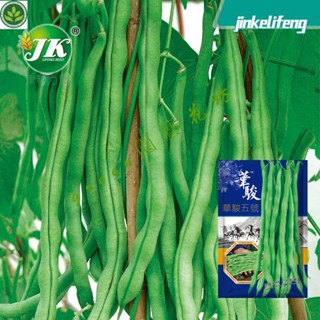 🌱無絲豆角種子無筋泰國架豆種籽鮮嫩無縴維四季豆春秋播蕓豆籽種孑 種子 種籽【green園藝花坊】