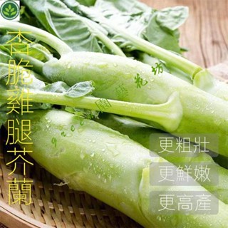 🌱正宗鷄腿芥蘭菜種子大芯芥蘭芥藍菜種籽耐熱蔬菜嫩甜脆芥菜種孑 種子 種籽【green園藝花坊】