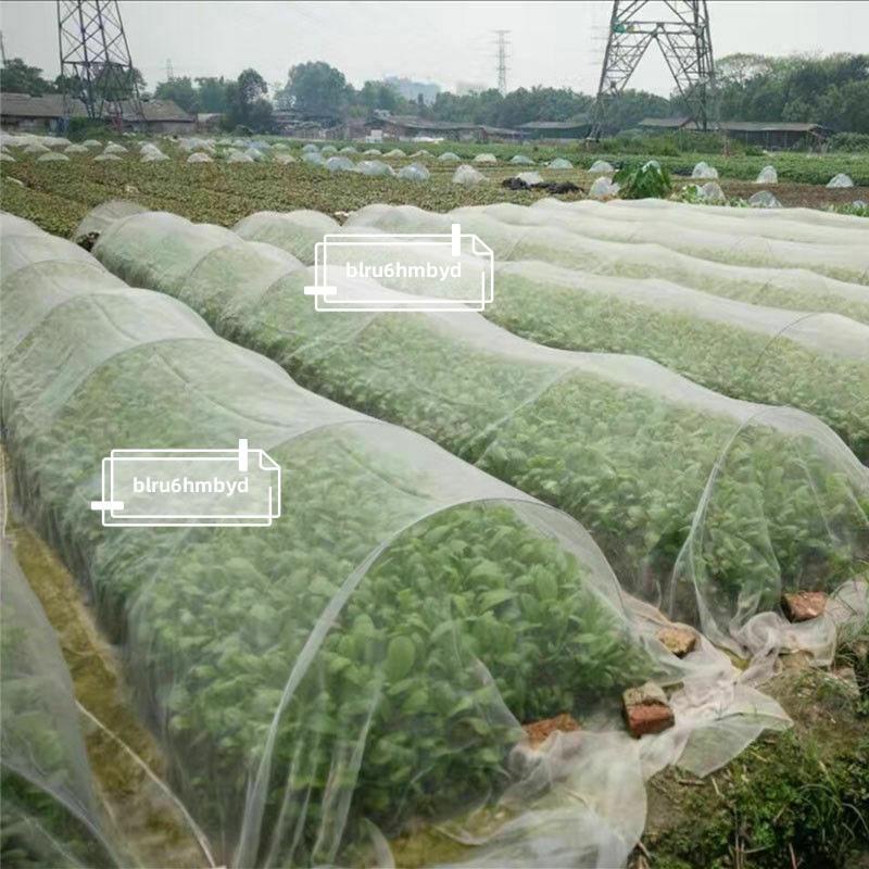戶外網 防蟲透氣網 花卉網 蔬菜網 草莓網家庭種植白色透氣防蟲網尼龍網有機蔬菜花卉之物理防蟲密度40目