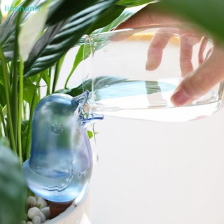 Bird Automatic Self-Watering Plants Watering Globe Garden Dr